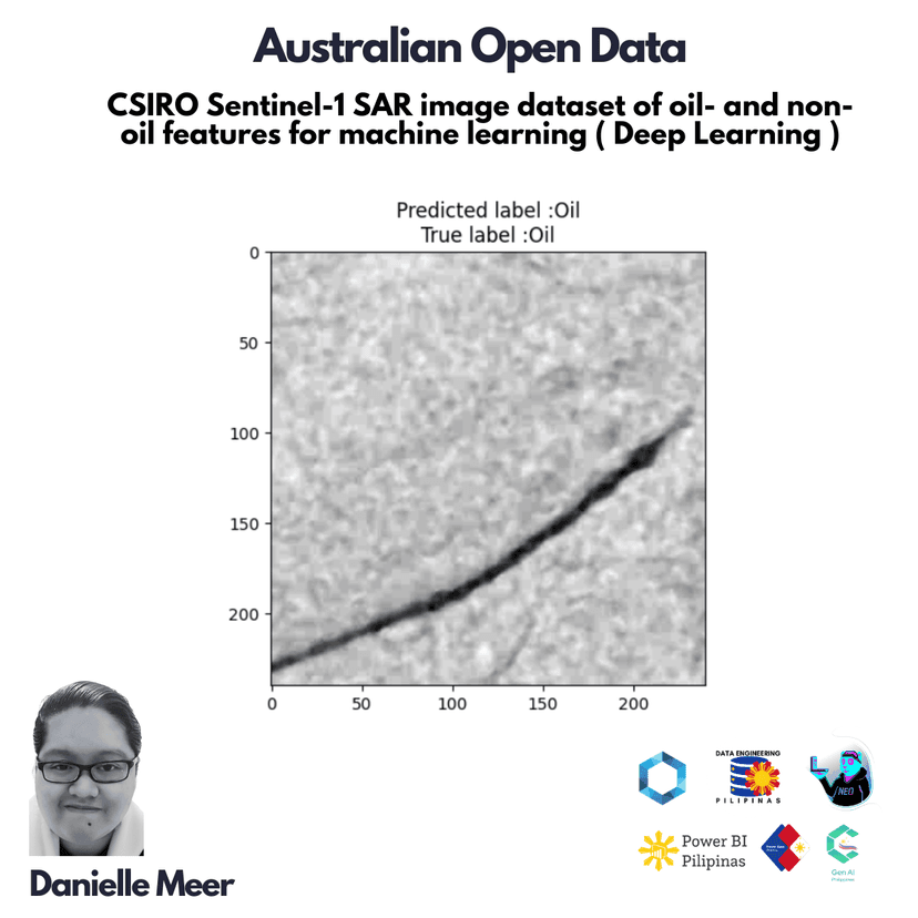 Danielle Meer Portfolio thumbnail